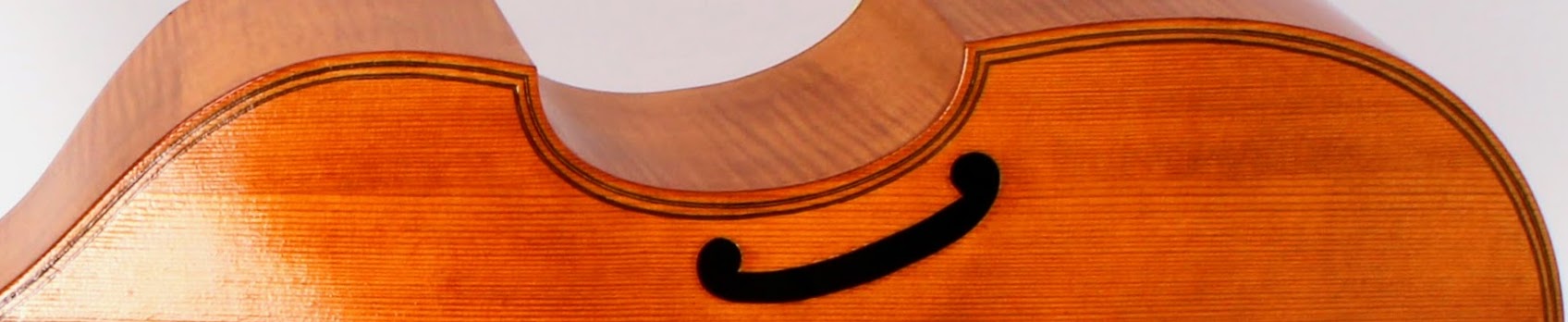 Cross section of a viol